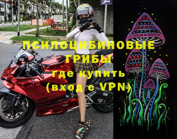 ECSTASY Пролетарск