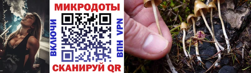 Галлюциногенные грибы Magic Shrooms  как найти   Луга 