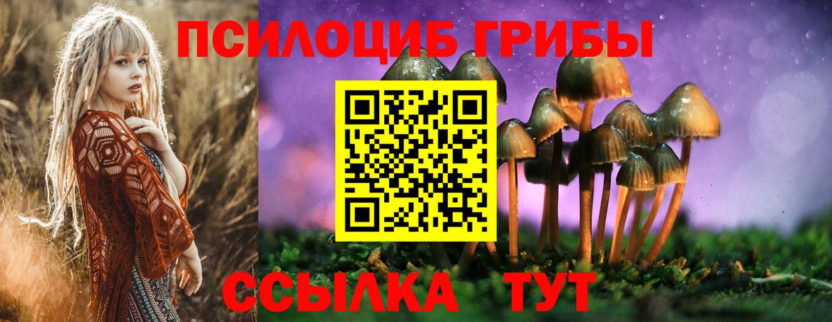 Псилоцибиновые грибы Psilocybe Луга