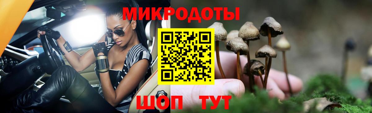 Луга  Галлюциногенные грибы Psilocybe  Вход с VPN 